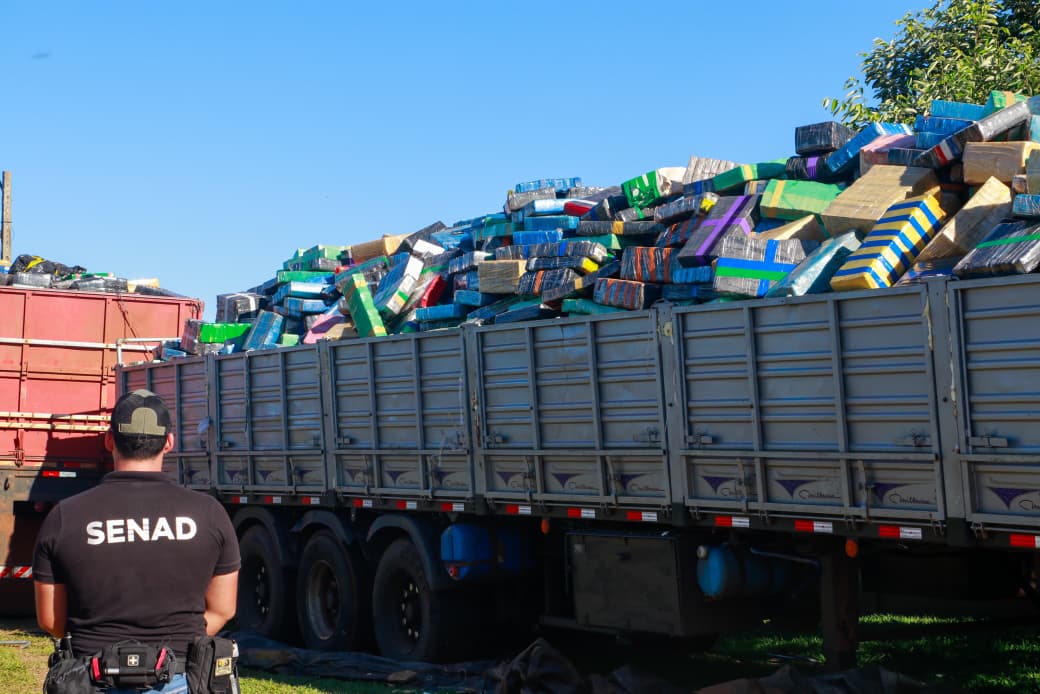 Operación Umbral deja el mayor decomiso de marihuana registrado en el país